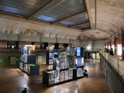 Le Musée Guimet