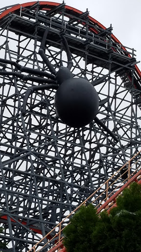 Roller Coaster «Wicked Cyclone», reviews and photos, Main St, Agawam, MA 01001, USA