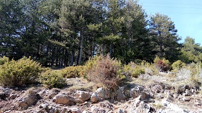 Photos of Falakro