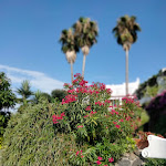 Photo n°13 de l'avis de Giada.i fait le 20/05/2019 à 07:18 sur le  Hotel Parco Conte à Casamicciola Terme