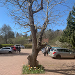 Photo n°5 de l'avis de Moewe.e fait le 17/04/2022 à 14:36 sur le  Hotel-Restaurant & SPA Mohr à Werder