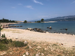 Plaza za pse Klimno'in fotoğrafı vahşi alan