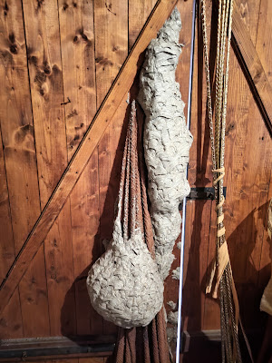 GAF Nuisibles SARREBOURG guêpes frelons