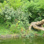 Photo n° 32 de l'avis de luzitano.7 fait le 12/08/2023 à 20:45 pour Nigloland à Dolancourt