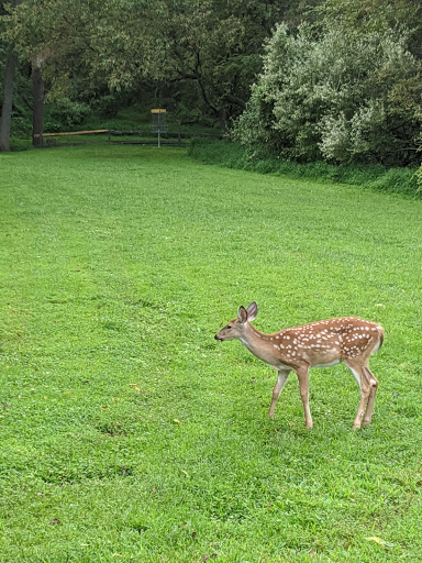 Park «Wilson Farm Park», reviews and photos, 500 Lee Rd, Wayne, PA 19087, USA