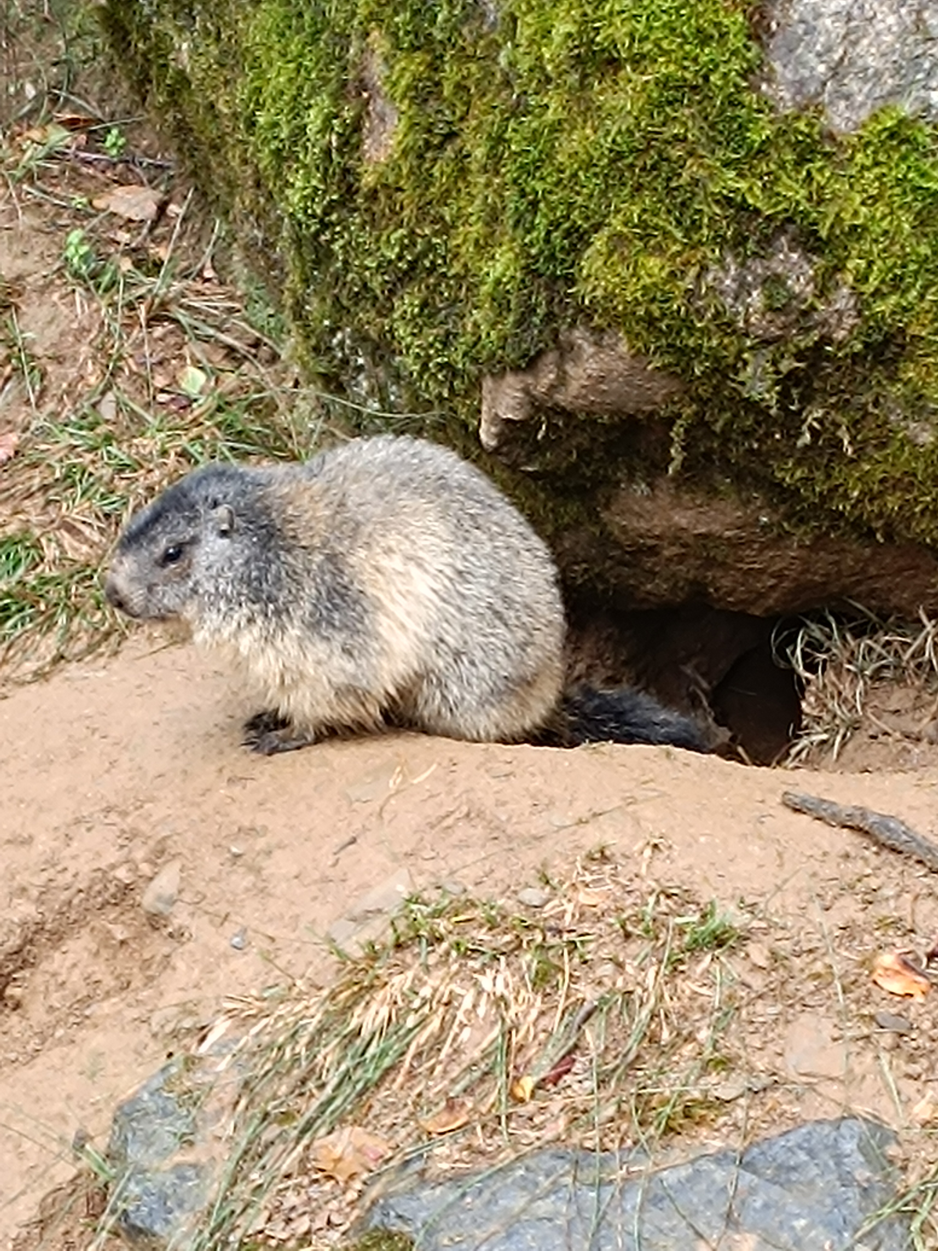Photo n° 10 de l'avis de David.o fait le 10/09/2023 à 17:07