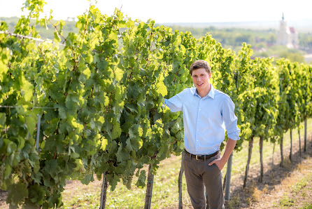 Weingut Schneider Granitz 9, 3743 Röschitz, Österreich