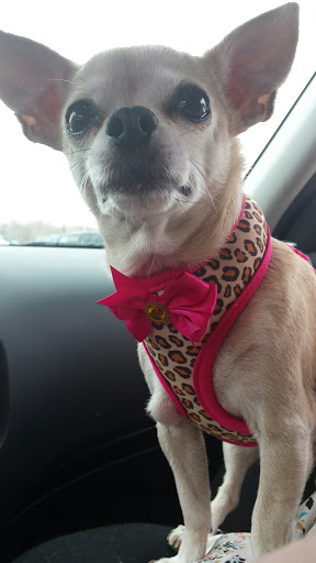 Pet Supply Store «PetSmart», reviews and photos, 9887 76th St, Pleasant Prairie, WI 53158, USA