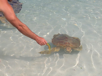 Let's Experience Vanuatu