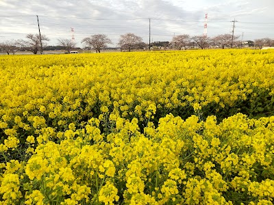 白山西公園