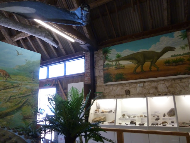 Dinosaur Expedition Centre - Museum