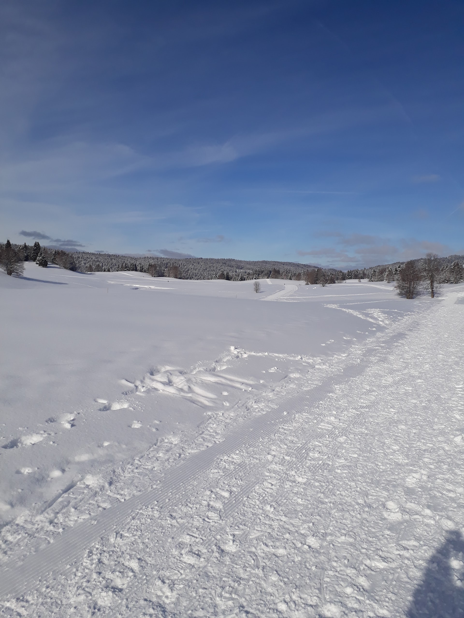 Photo n° 25 de l'avis de René.a fait le 15/02/2018 à 14:43