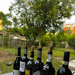 Photo n°2 de l'avis de Juliana.u fait le 23/06/2023 à 18:57 sur le  Vrasa à Sorrento