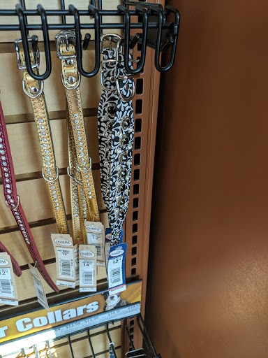 Pet Supply Store «Pet Supermarket», reviews and photos, 4220 Florida Ave S, Lakeland, FL 33813, USA