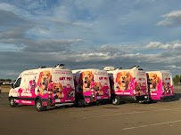 Art Pet Mobile Grooming - Photo 7 - Car repair in Foster City, CA, San Mateo