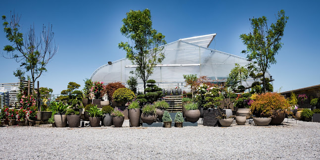 Rezensionen über Gärtnerei Luzia in Zug - Gartenbauer