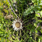Photo n°10 de l'avis de Denise.i fait le 22/08/2021 à 16:07 sur le  Rifugio al Santuario à Tarvisio