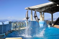 新江ノ島水族館