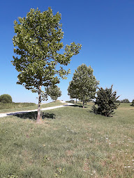 Photo n°7 de La Medina à Valence ()