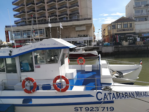 Agence d'excursions en bateau Catamaran MIKAEL II Palavas-les-Flots