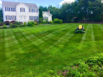Matty L's Lawn and Tree Care - Car repair in , Danbury - Rated 0.0/5