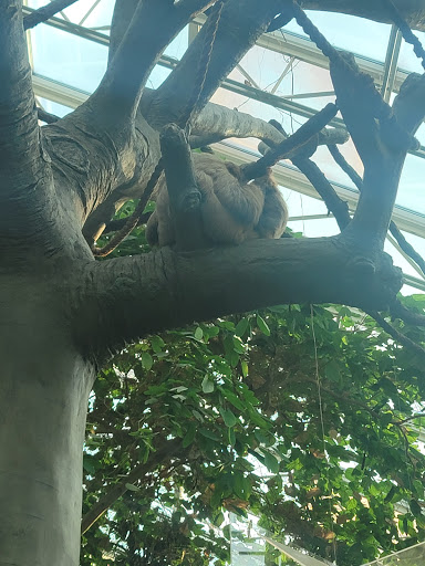 Zoo «Monkey Island», reviews and photos, 8 E 23rd Ave, Denver, CO 80205, USA