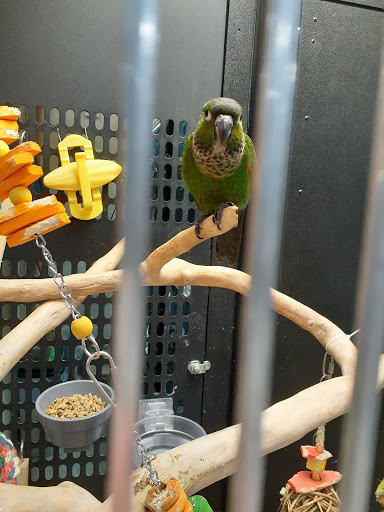 Pet Supply Store «PetSmart», reviews and photos, 1183 Berkshire Blvd, Wyomissing, PA 19610, USA