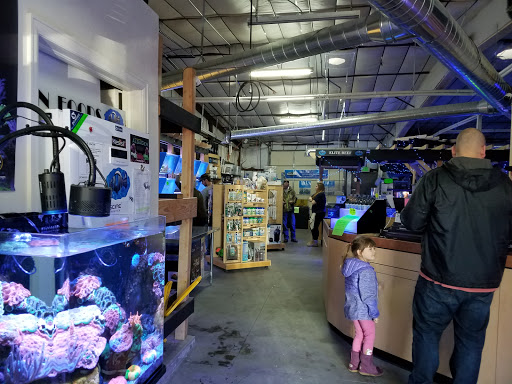 Tropical Fish Store «Elite Reef», reviews and photos, 8410 Wadsworth Blvd F, Arvada, CO 80003, USA