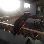 Photo n°1 de l'avis de Jorge.a fait le 07/11/2018 à 18:48 sur le  Naveterra-Hotel Rural à Monte das Mimosas