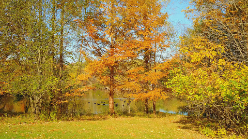 Park «Pascack Brook County Park», reviews and photos, 150 Emerson Rd, Westwood, NJ 07675, USA