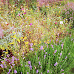 Photo n°2 de l'avis de Cornelia.e fait le 04/08/2021 à 13:36 sur le  Hotel und Gasthaus Zum weißen Mönch à Blankenburg