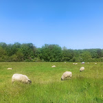 Photo n° 2 de l'avis de Marie.e fait le 20/05/2023 à 12:21 pour Ferme des 4 Étoiles à Auffargis
