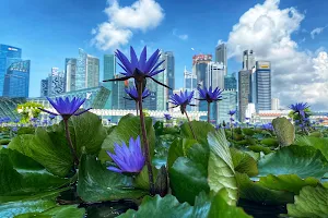 Marina Bay Sands Garden Park image