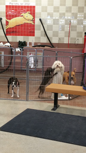 Pet Supply Store «Pet Food Express», reviews and photos, 9153 W Olympic Blvd, Beverly Hills, CA 90212, USA