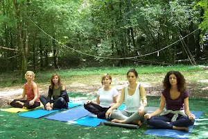 AtmanYoga Ravenna Scuola di Yoga e Meditazione image