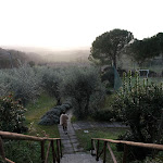 Photo n°3 de l'avis de Jonathan.o fait le 28/03/2023 à 21:36 sur le  Villa Curina Resort à Castelnuovo Berardenga