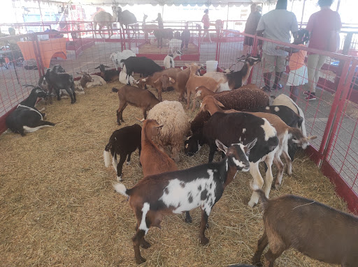 Arena «The Family Arena», reviews and photos, 2002 Arena Pkwy, St Charles, MO 63303, USA