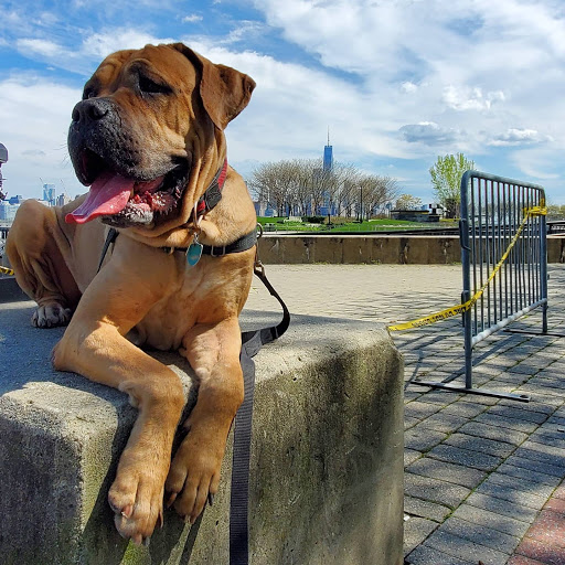 Pet Valu, 725 River Rd, Edgewater, NJ 07020, USA, 