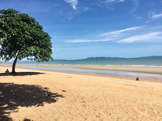 Dongtan Beach