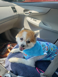 Boutique A Yo Yo - Photo 7 - Car repair in Hampton, VA, Hampton