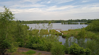 Parc-Etang de Rieulay à Rieulay