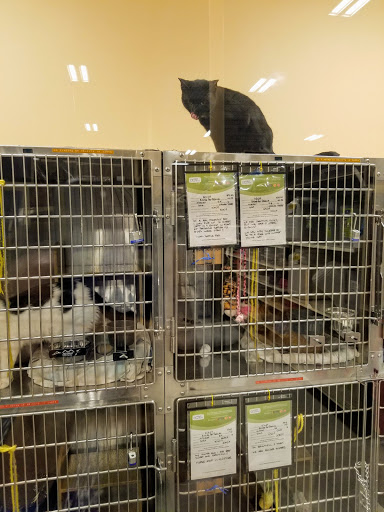 Pet Supply Store «PetSmart», reviews and photos, 335 Congress Ave, Boynton Beach, FL 33426, USA