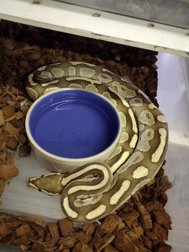 Pet Store «Gills And Thrills Pet Shop», reviews and photos, 204 E 8th St, Lockport, IL 60441, USA