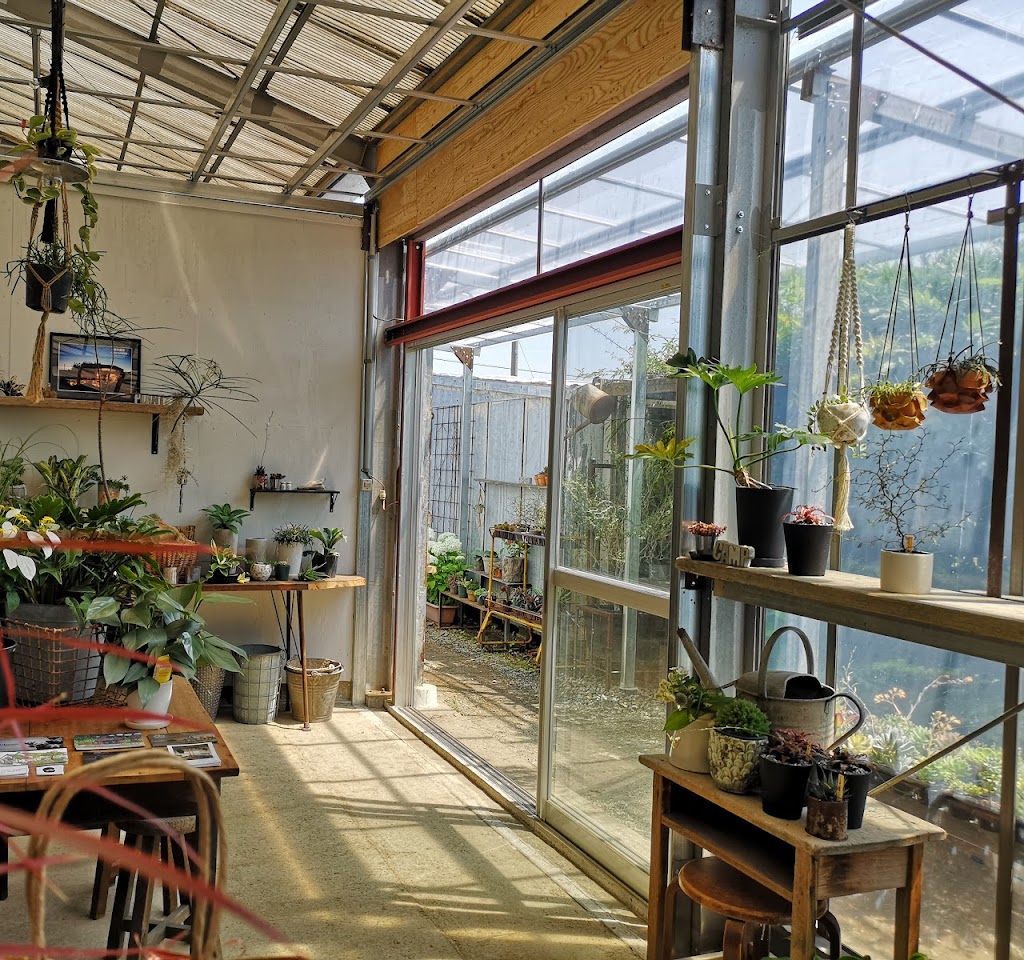 新井園芸 花の直売所