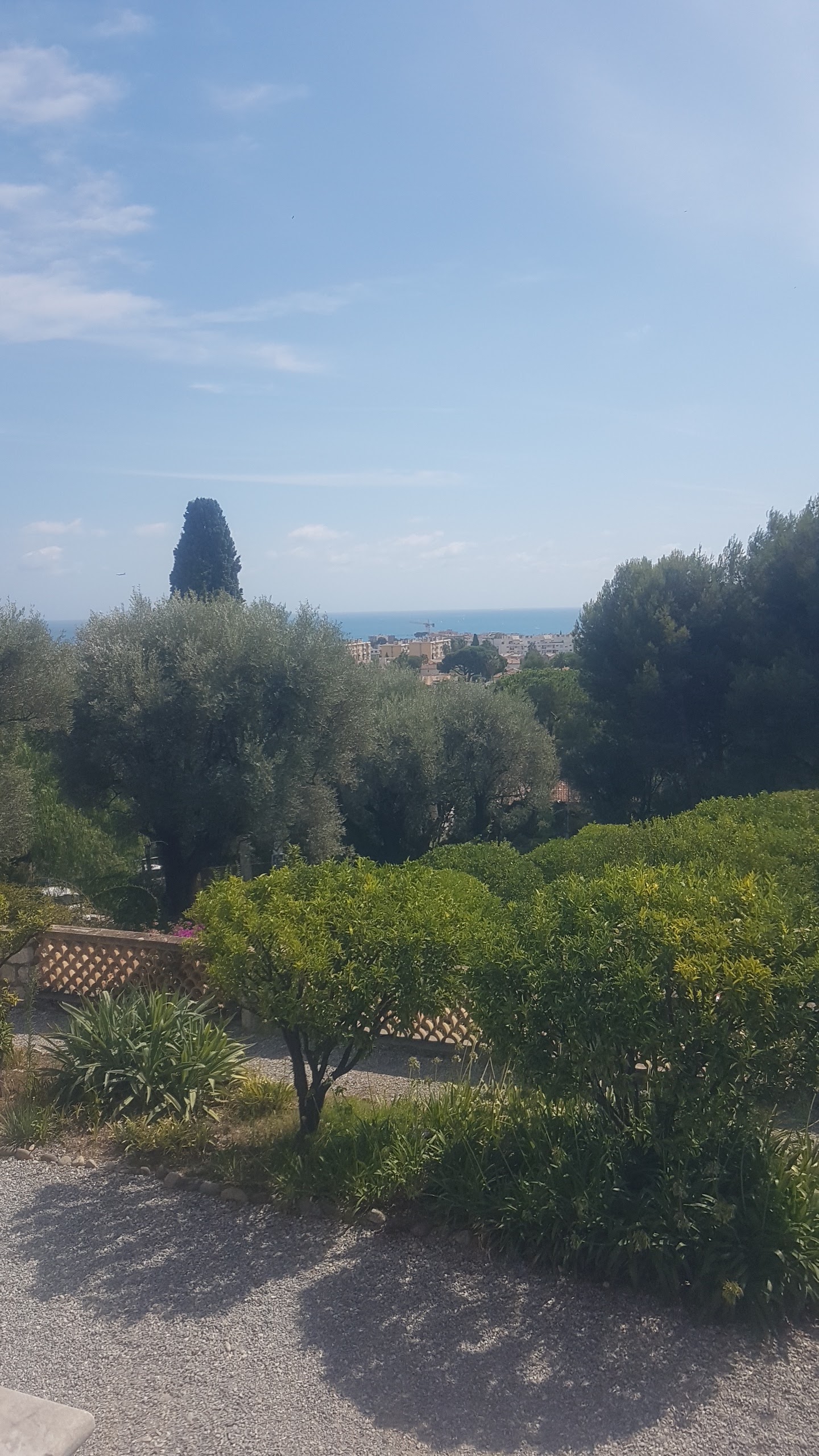 Photo n° 22 de l'avis de PESTRE.R fait le 20/08/2019 à 07:30