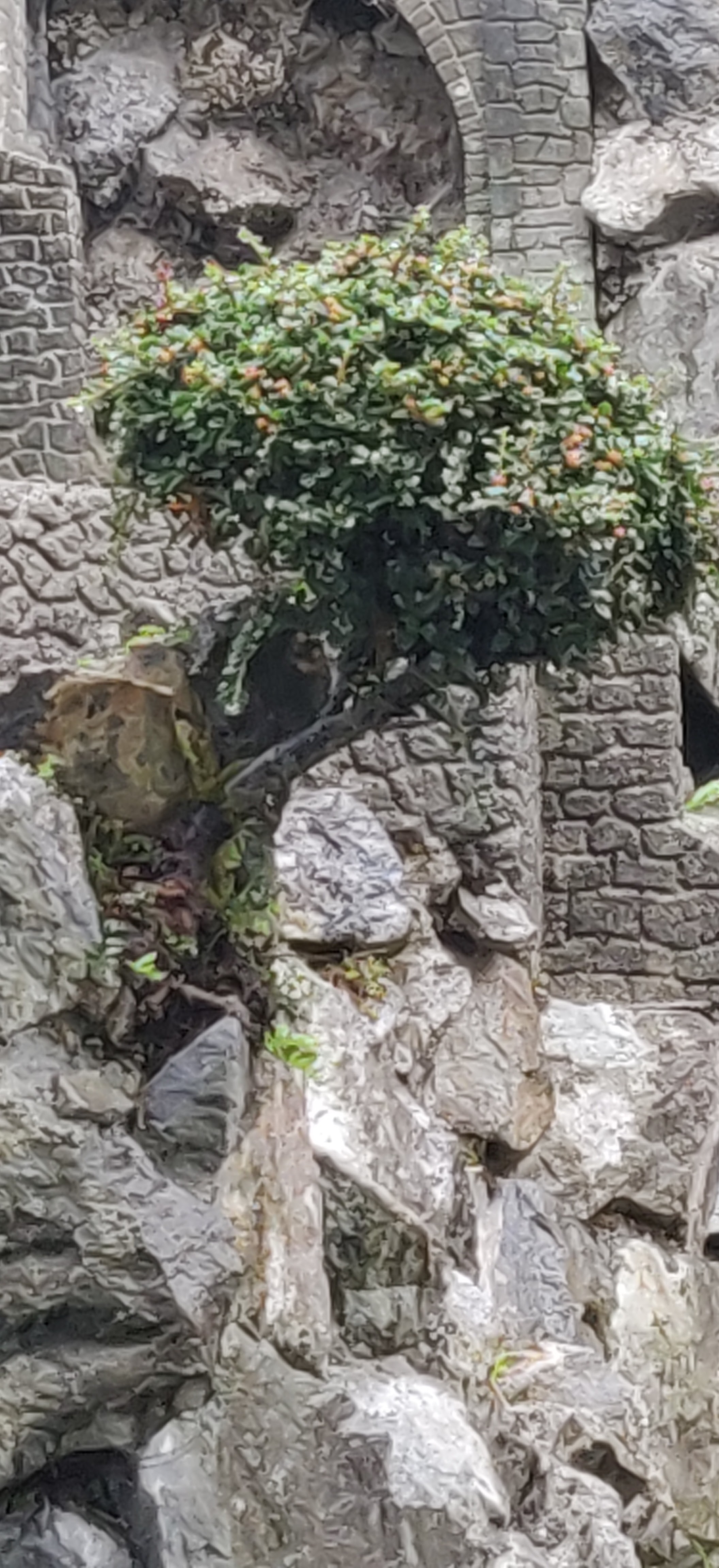Photo n° 12 de l'avis de Jacques.r fait le 12/08/2019 à 12:37