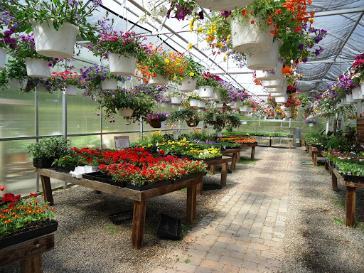 Garden Center «Town & Country Nurseries», reviews and photos, 1036 Saybrook Rd, Haddam, CT 06438, USA