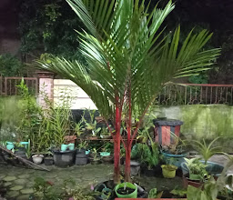 Sutrisno Garden photo