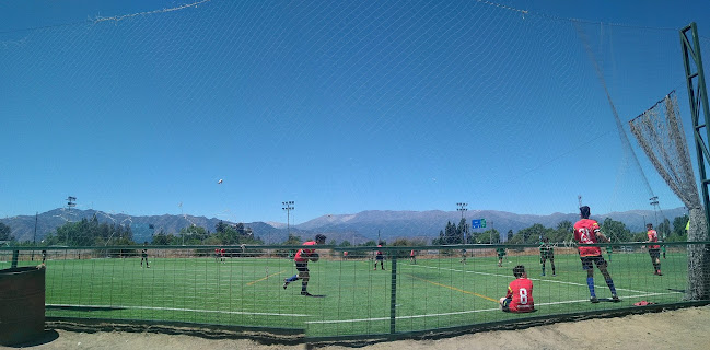 Canchas Los Nogales - Campo de fútbol