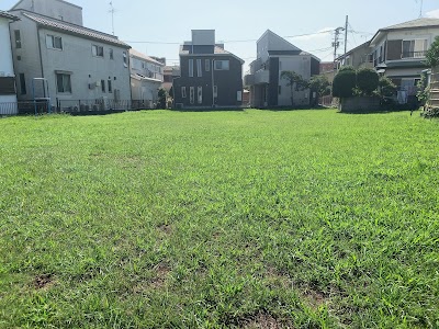 第246号 みどりの広場